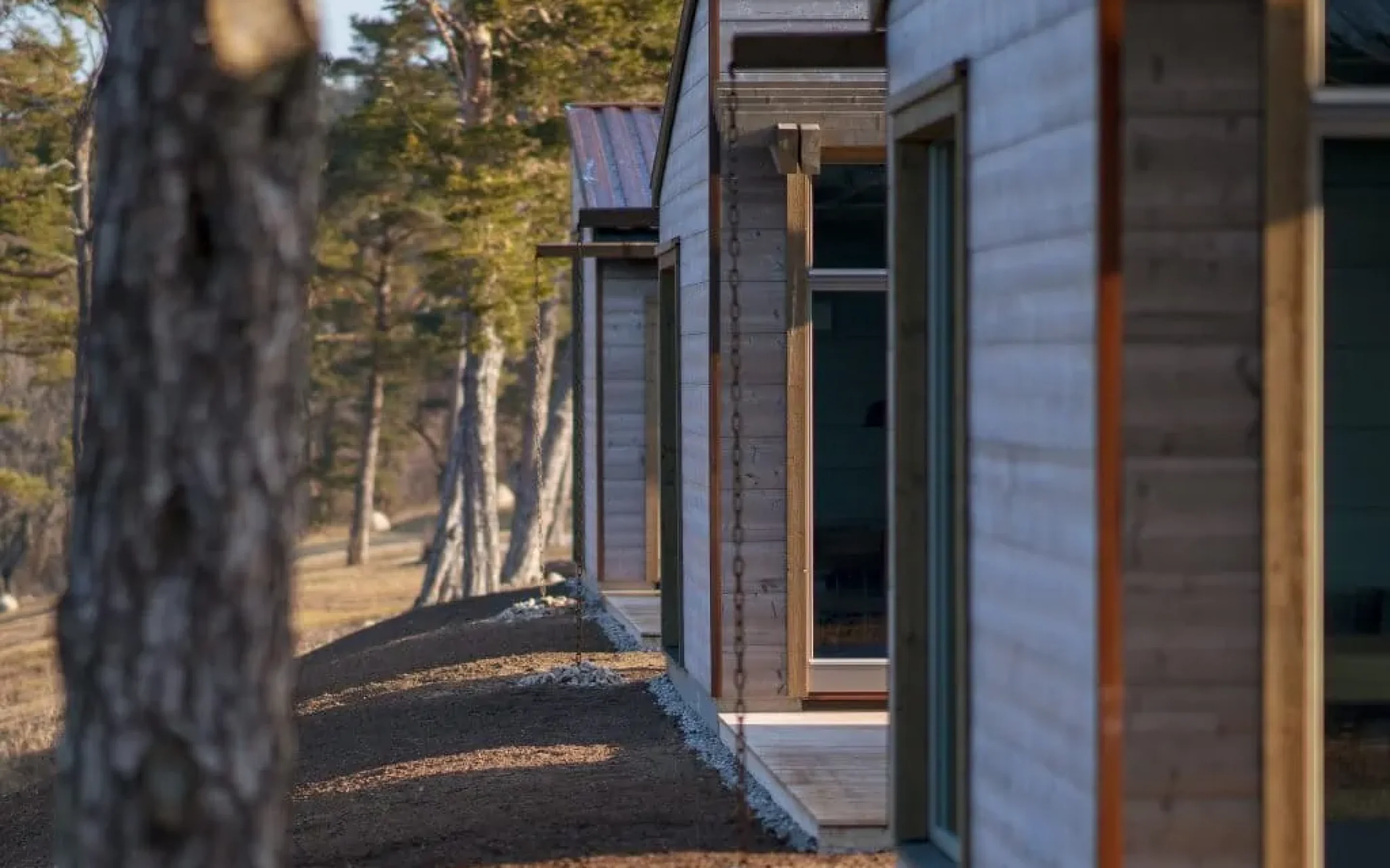 Trähus i tallskog